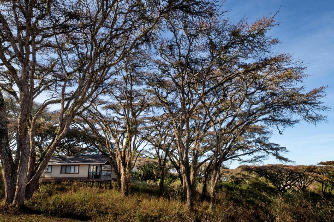 Lions Paw Ngorongoro Hotel Ngoại thất bức ảnh